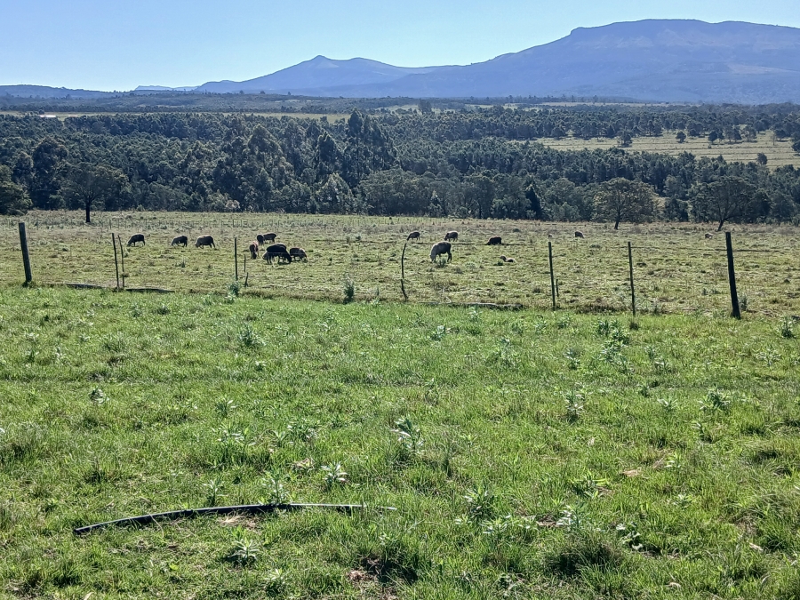 2 Bedroom Property for Sale in Stutterheim Rural Eastern Cape